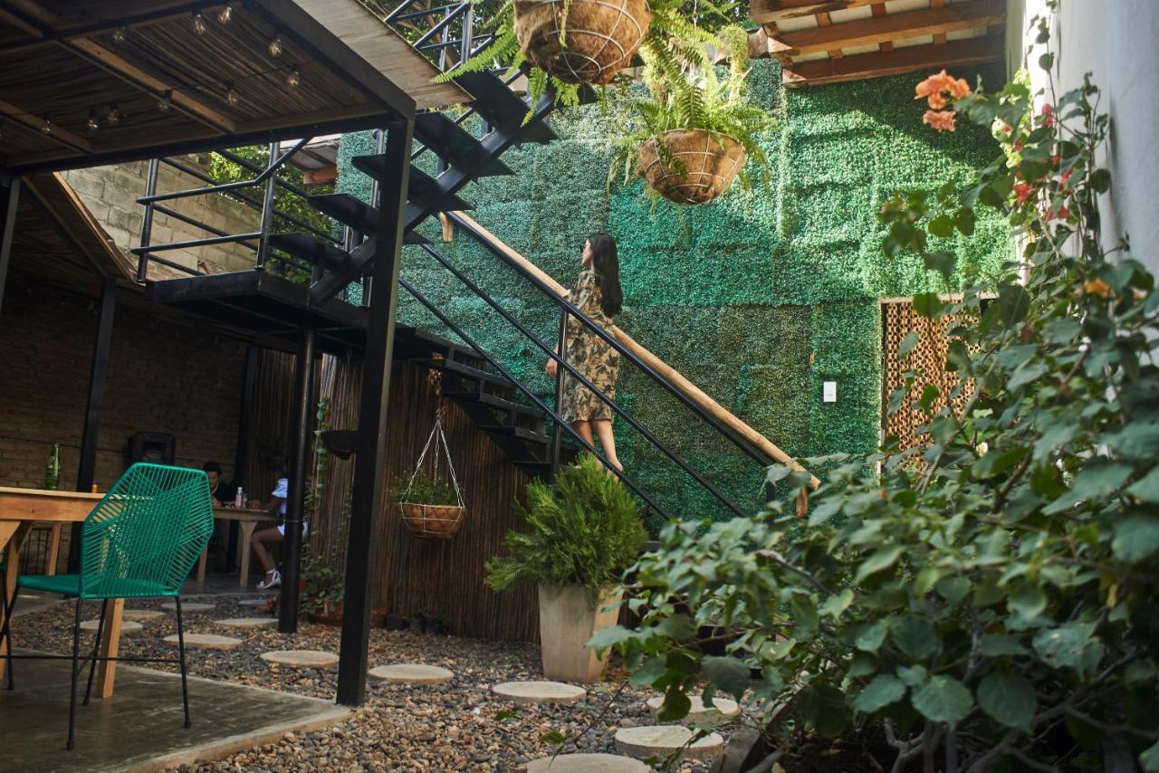 Hostel Musa Paradisiaca 圣玛尔塔 外观 照片