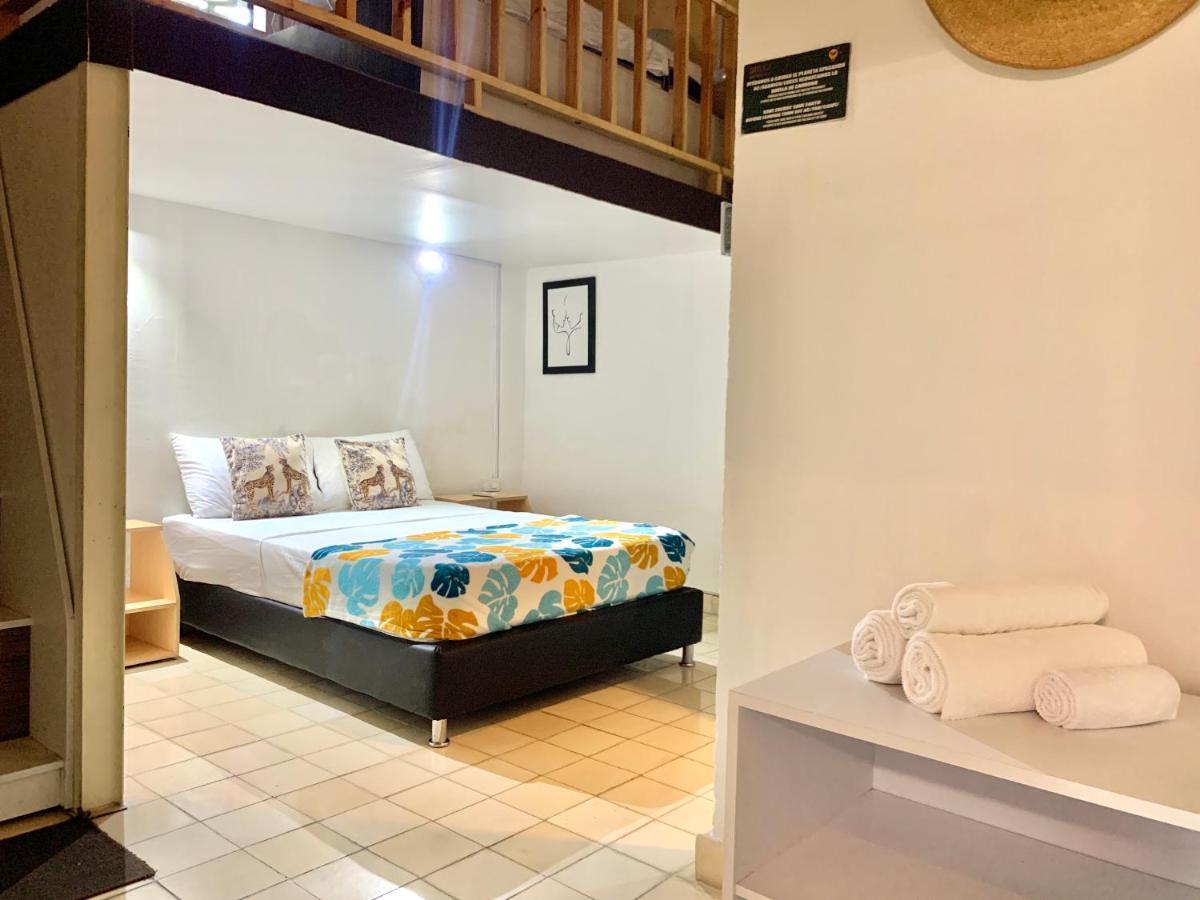 Hostel Musa Paradisiaca 圣玛尔塔 外观 照片