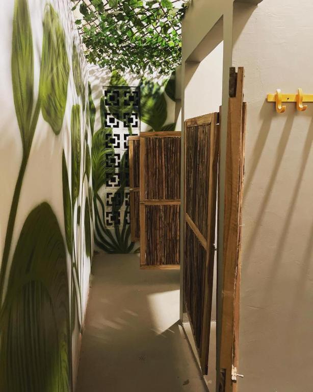 Hostel Musa Paradisiaca 圣玛尔塔 外观 照片