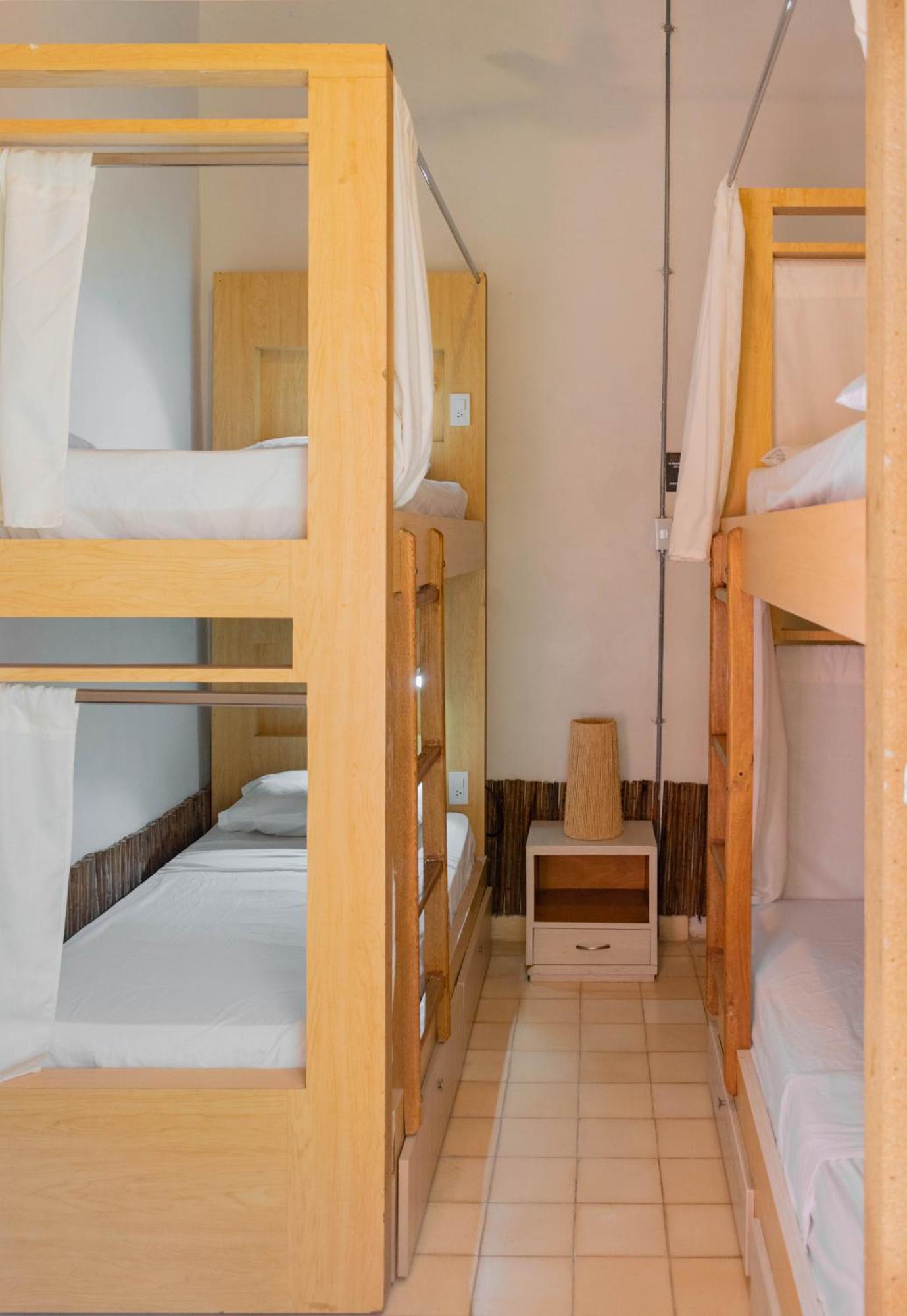 Hostel Musa Paradisiaca 圣玛尔塔 外观 照片